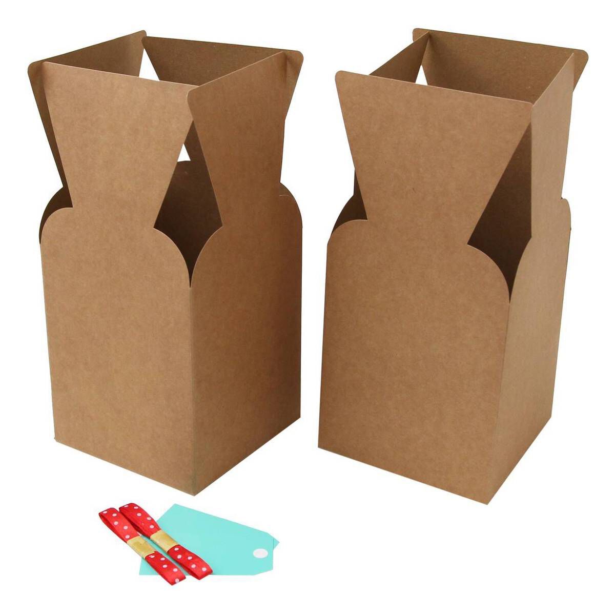 Plant Gift Boxes 2 Pack Hobbycraft
