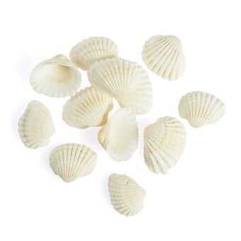 Natural Craft Shells 12 Pack