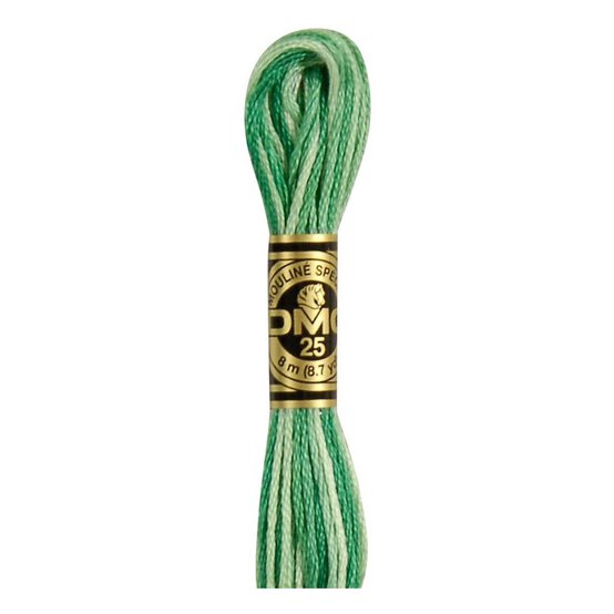 DMC Green Mouline Special 25 Cotton Thread 8m (125)