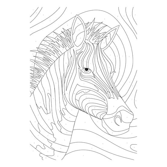 Rainbow Zebra Paint by Numbers image number 3