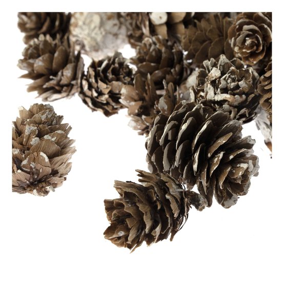 Small Pinecones 110g image number 4