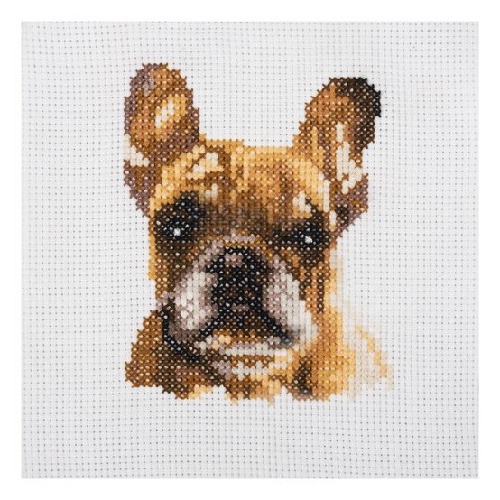 Trimits French Bulldog Counted Cross Stitch Kit 13cm x 13cm image number 2