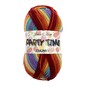 James C Brett Autumn Days Party Time Chunky Yarn 100g image number 1