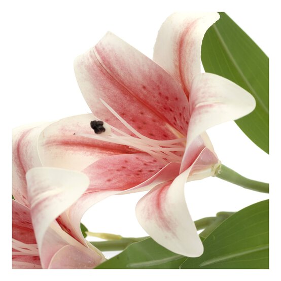 White and Pink Lily Spray 70cm image number 3