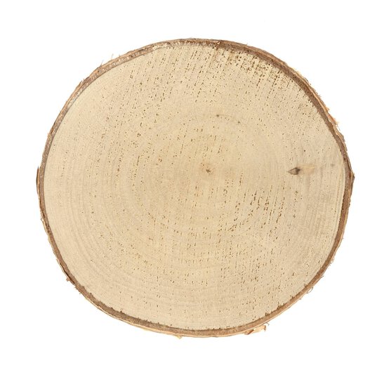 Birch Wooden Slice 15cm image number 4