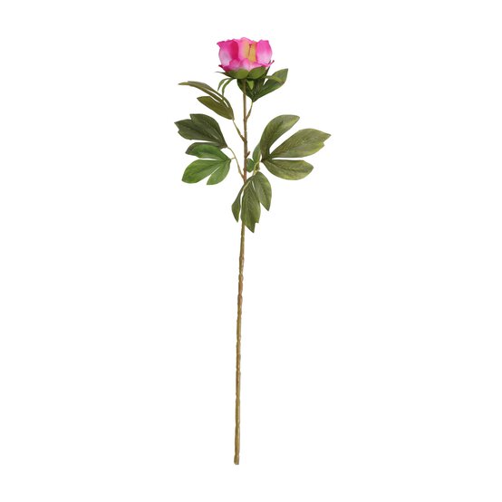 Cerise Peony 80cm x 11cm image number 1