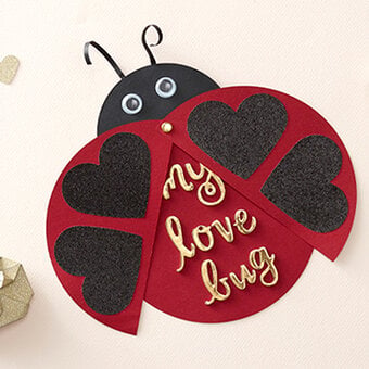How to Make a Ladybird Valentine's Day Card