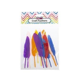 Assorted Quill Feathers 15 Pack image number 4