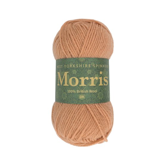 West Yorkshire Spinners Pimpernel Morris DK 50g  image number 1