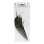Peacock Feathers 4 Pack image number 2