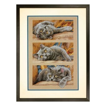 Dimensions Gold Collection Max The Cat Cross Stitch Kit