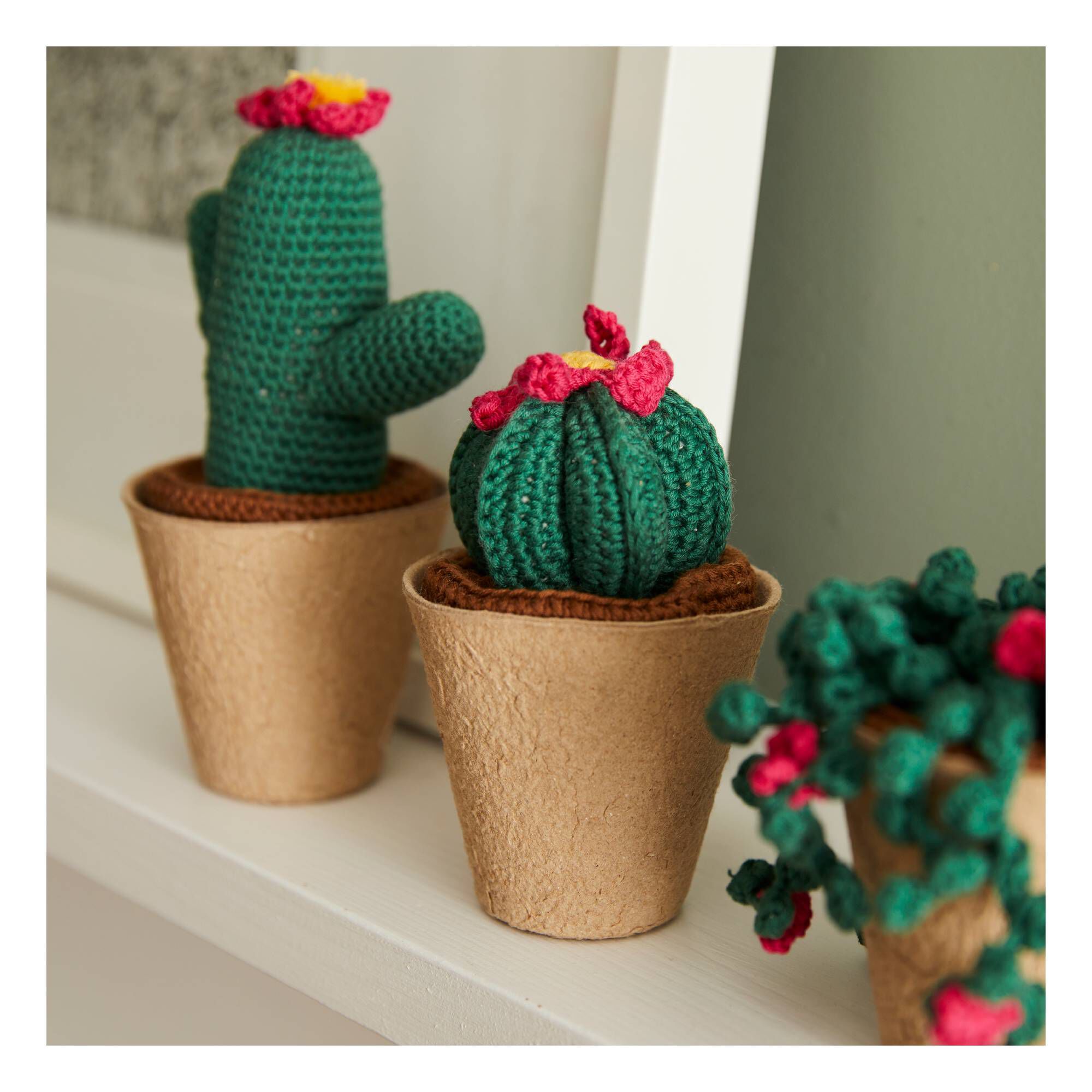 DMC Crochet Cactus Kit | Hobbycraft