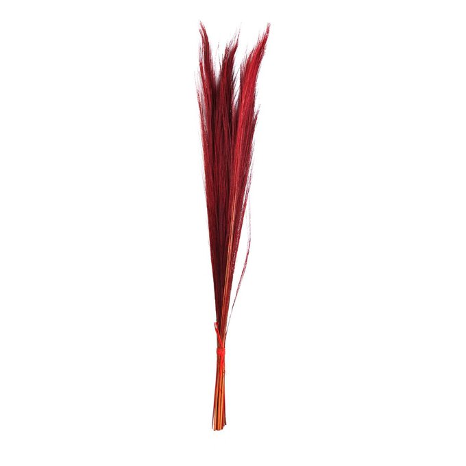 Red Broom Grass Bunch 100cm image number 1