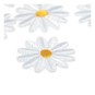 Mini Daisy Iron-On Motifs 10 Pack image number 3