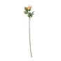 Dusky Pink Arundel Rose 70cm image number 1