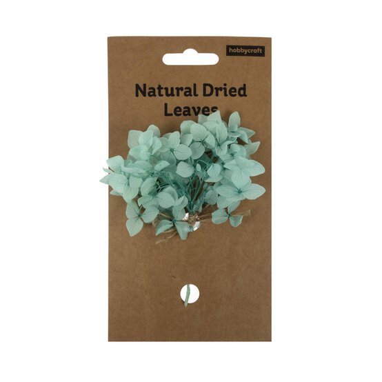 Sage Green Dried Leaves Pick 13cm image number 5