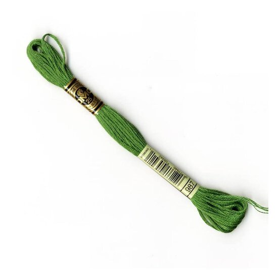 DMC Green Mouline Special 25 Cotton Thread 8m (987) image number 1