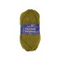 Stylecraft Gorse Highland Heathers Aran 100g  image number 1