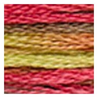 DMC Orange and Yellow Coloris Mouline Cotton Thread 8m (4510) image number 2