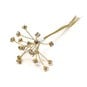 Gold Diamante Branches 12 Pieces image number 1