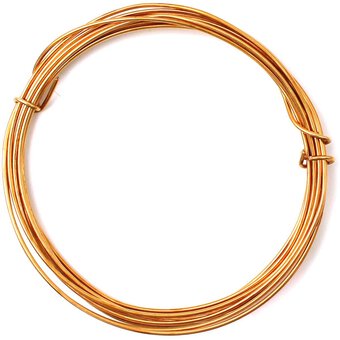 Salix Gold-Plated Wire 1mm x 2m