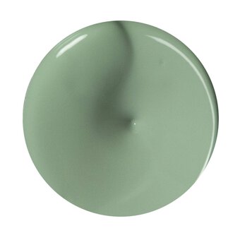 Lichen Green Acrylic Craft Paint 60ml