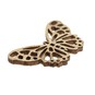 Butterfly Wooden Toppers 10 Pack image number 3