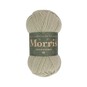 West Yorkshire Spinners Linseed Morris DK 50g image number 1