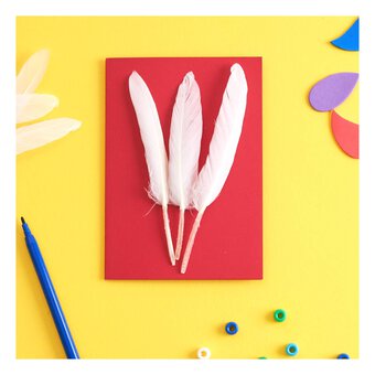 White Quill Feathers 15 Pack