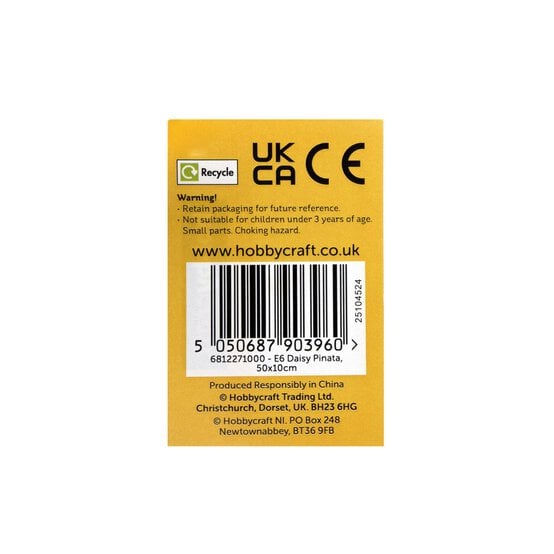 Daisy Pinata image number 5