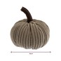 Grey Cord Pumpkin 9cm image number 4