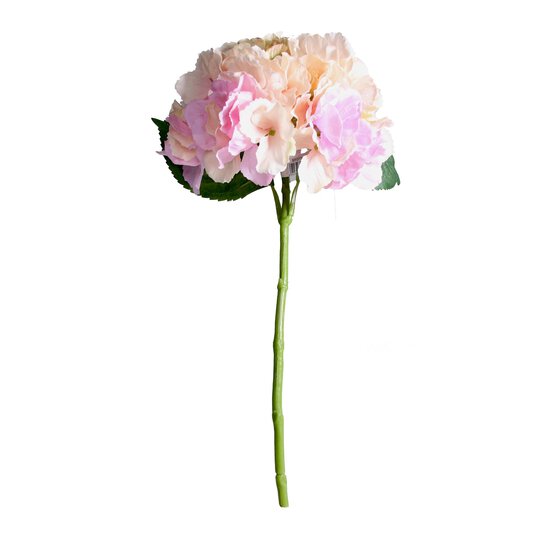 Blush Pink Short Stem Hydrangea 40cm x 17cm image number 1