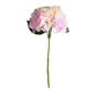 Blush Pink Short Stem Hydrangea 40cm x 17cm image number 1