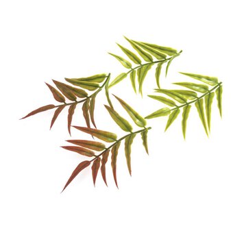 Small Fern Leaves 4 Pack