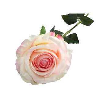 Cream Pink Camelot Open Rose 74cm x 10cm