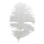 White Ostrich Feather 30cm image number 1
