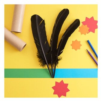 Black Feathers 7 Pack