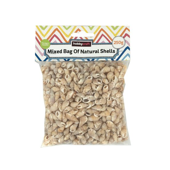 Mixed Bag of Natural Shells 250g  image number 5