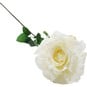 White Sorbet Rose Stem 74cm image number 3