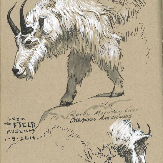 Faber-Castell Black Pitt Artist Pens 4 Pack image number 4