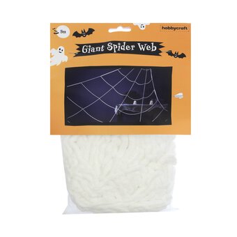 Giant Spider&rsquo;s Web 5m