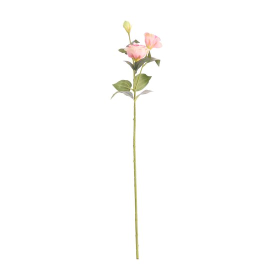 Pink Lisianthus Spray 70cm x 10cm image number 1