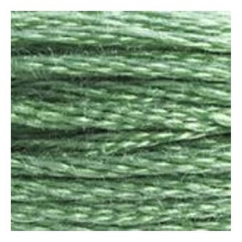 DMC Green Mouline Special 25 Cotton Thread 8m (320)