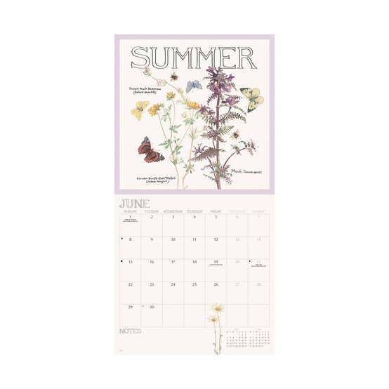 Edith Holden A Country Diary Wall Calendar 2026 image number 3