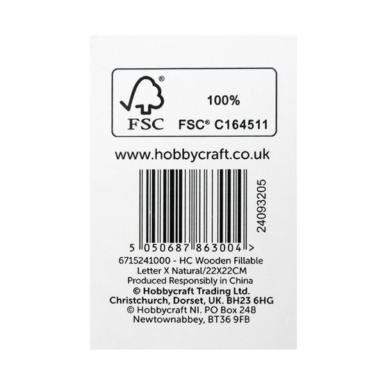 Wooden Fillable Letter X 22cm image number 6