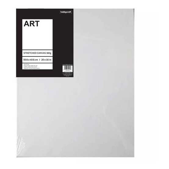 Stretched Canvas 50.8cm x 40.6cm