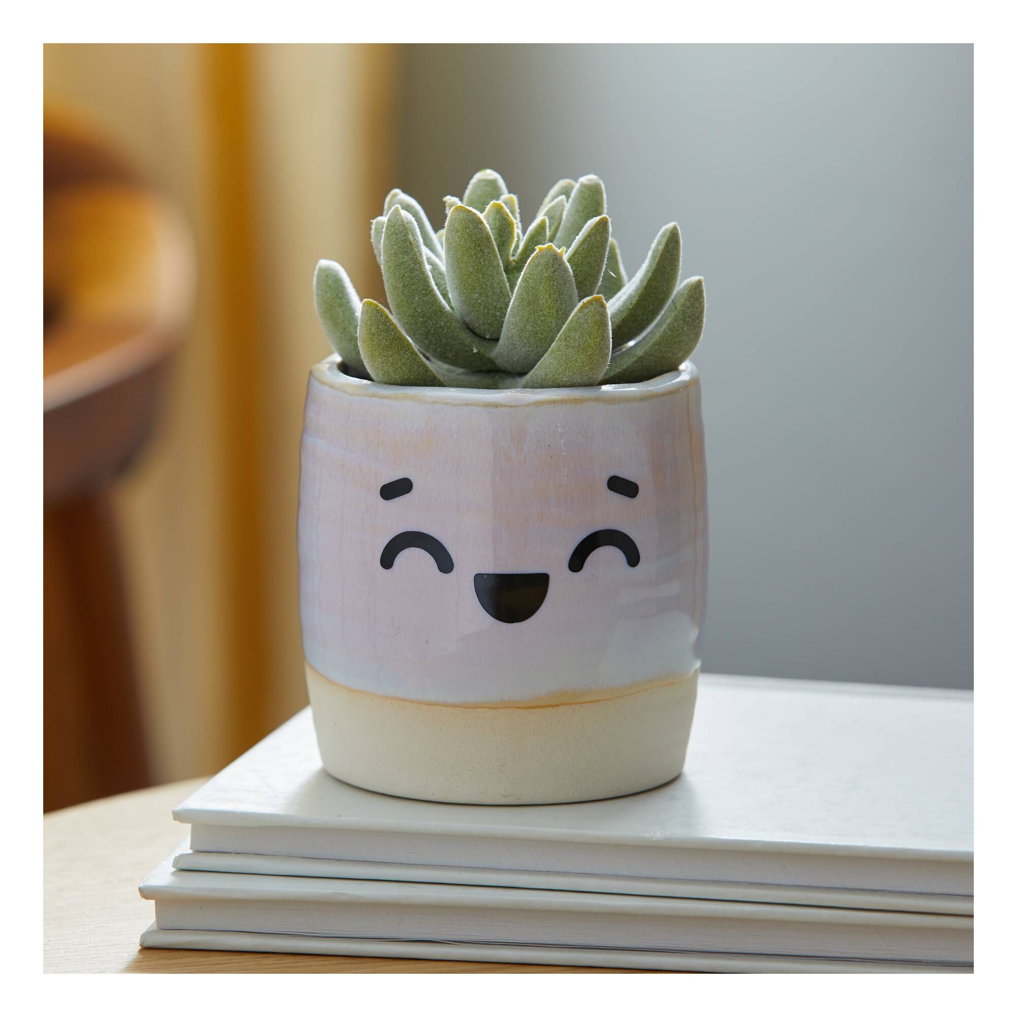 Cricut Joy Ultimate Gift Bundle Hobbycraft