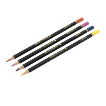 Shore & Marsh Assorted Colouring Pencils 12 Pack image number 3