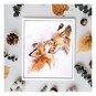 Diamond Dotz Fox Bliss Kit 27cm x 32cm image number 1