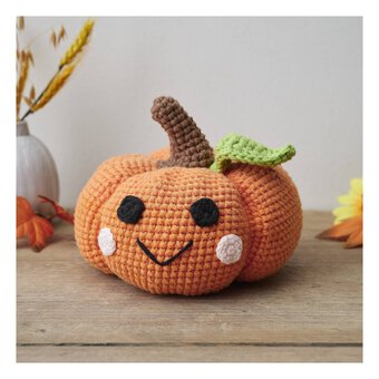 Pumpkin Crochet Kit